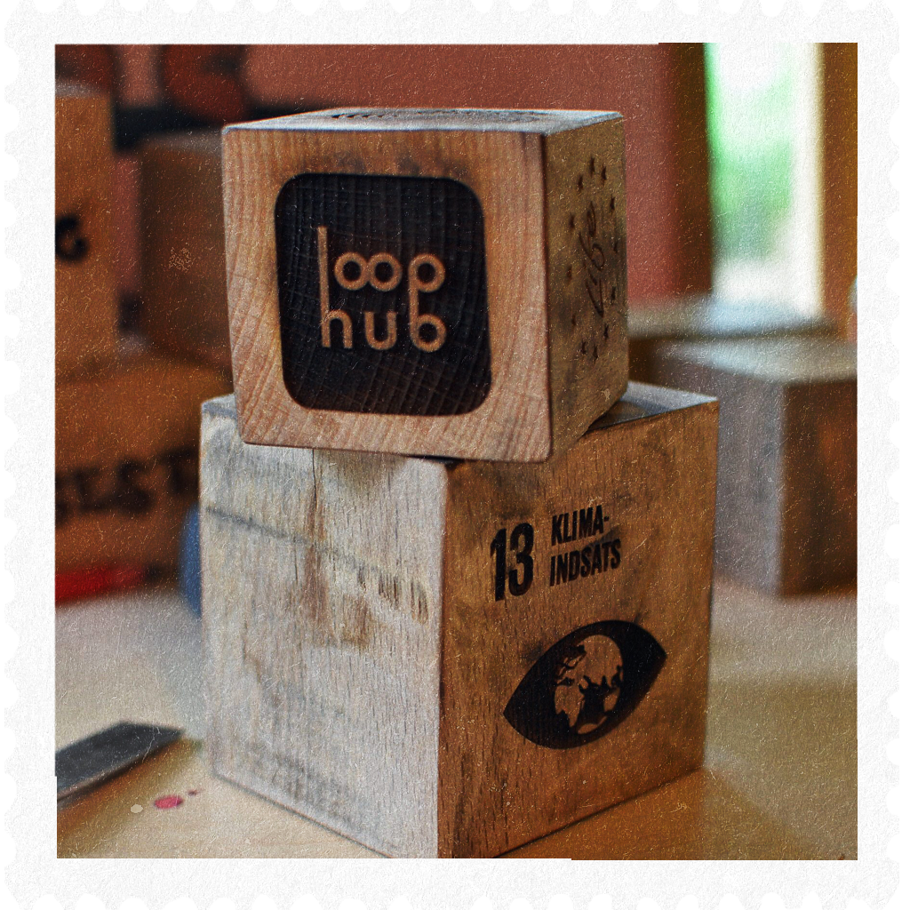 Case - Loophub - 4