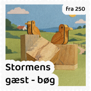 Stormens gæster
